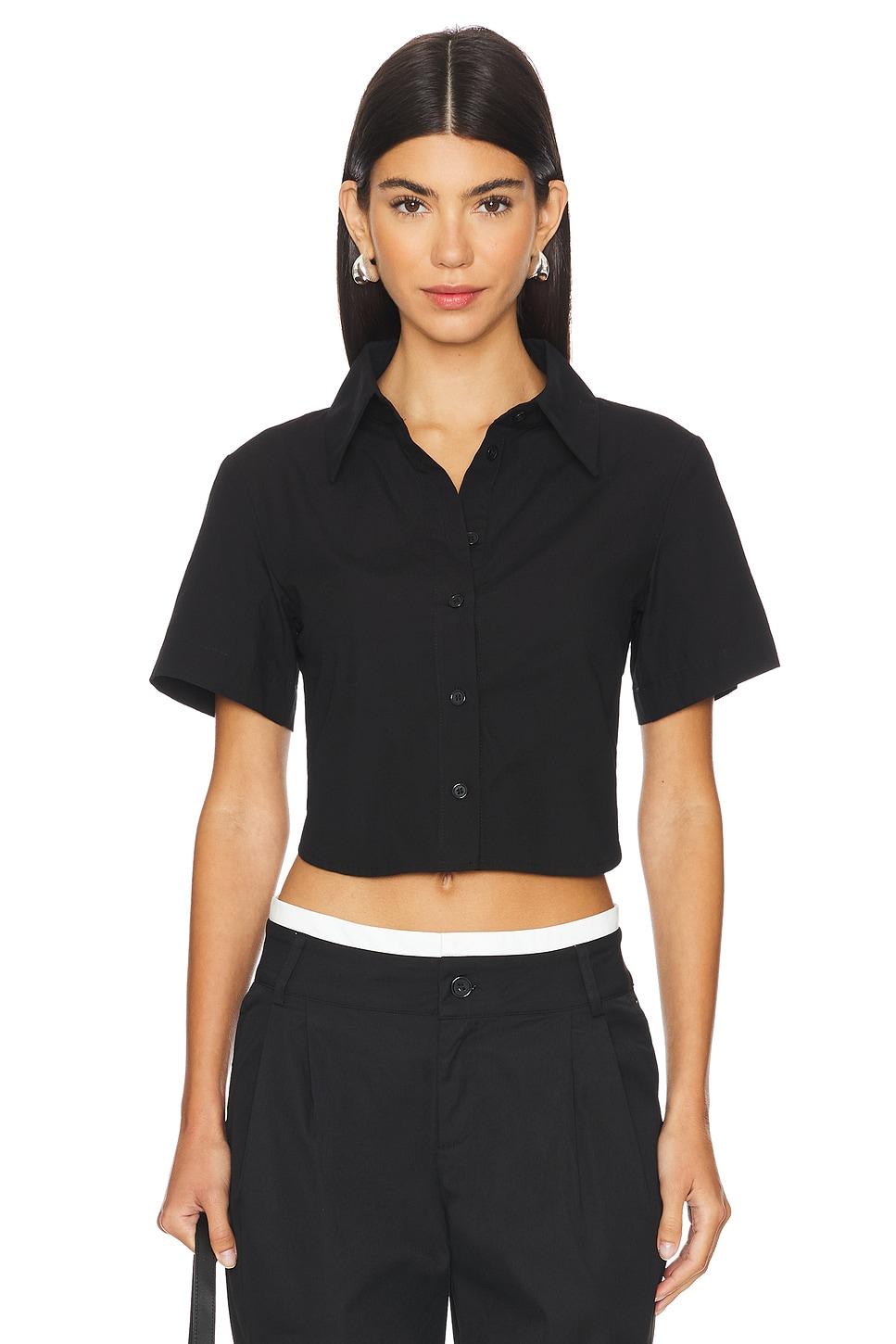 max button up top