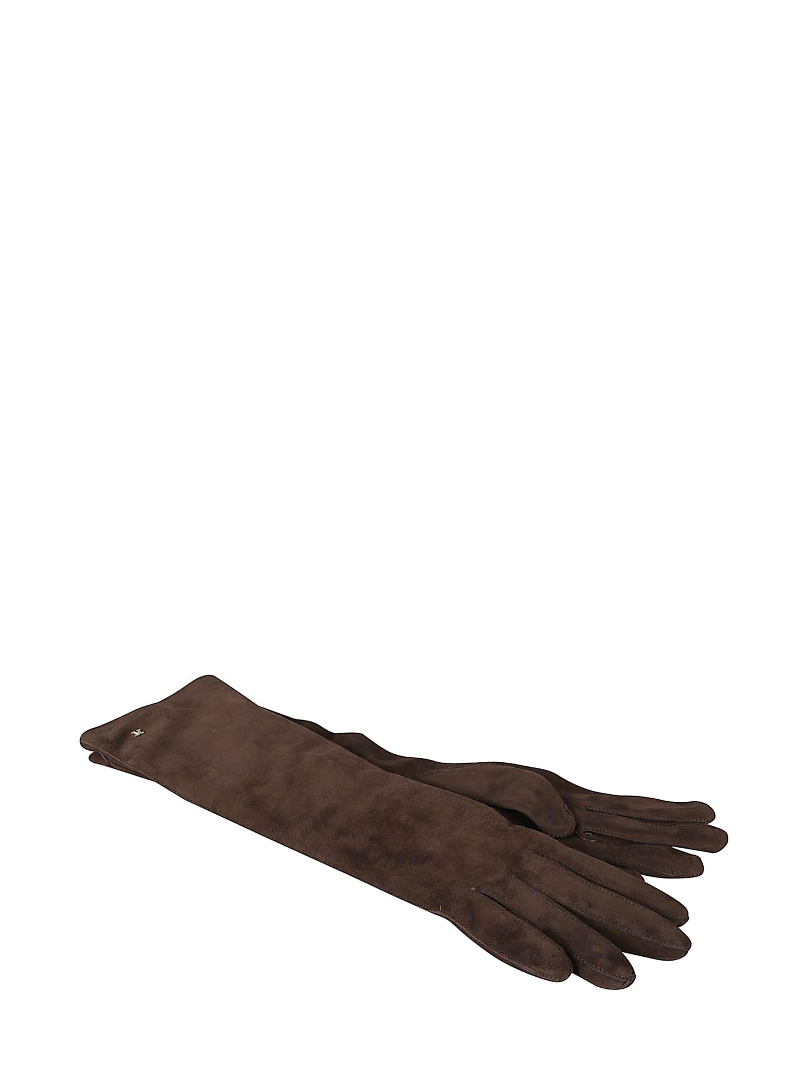 max mara aphid gloves