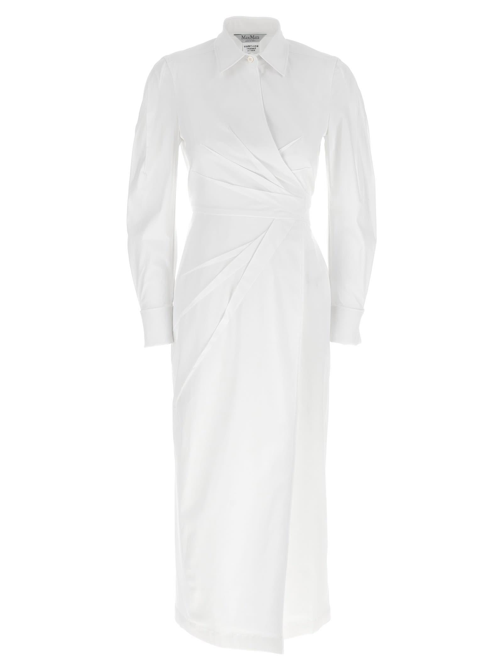 max mara balzac dress