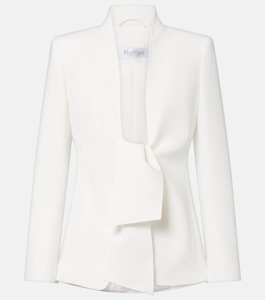 max mara cady jacket