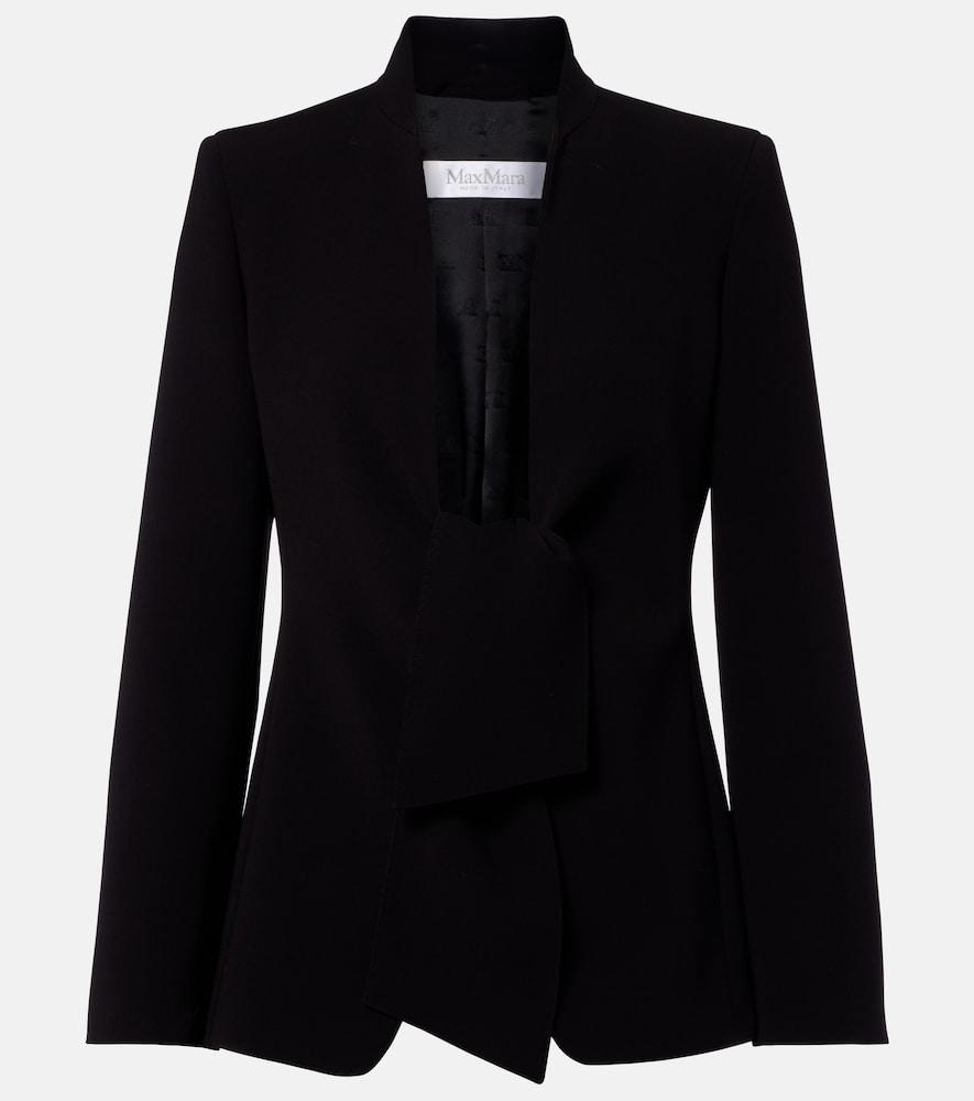 max mara cady jacket