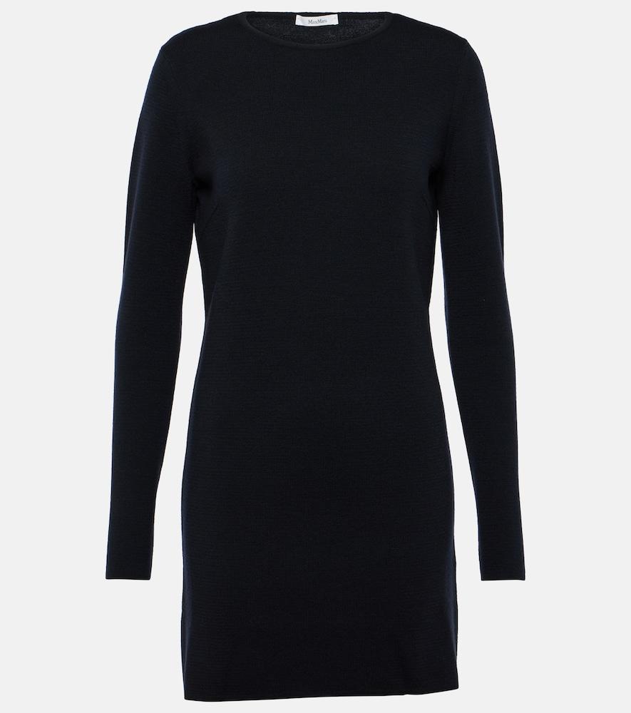 max mara eridani wool minidress