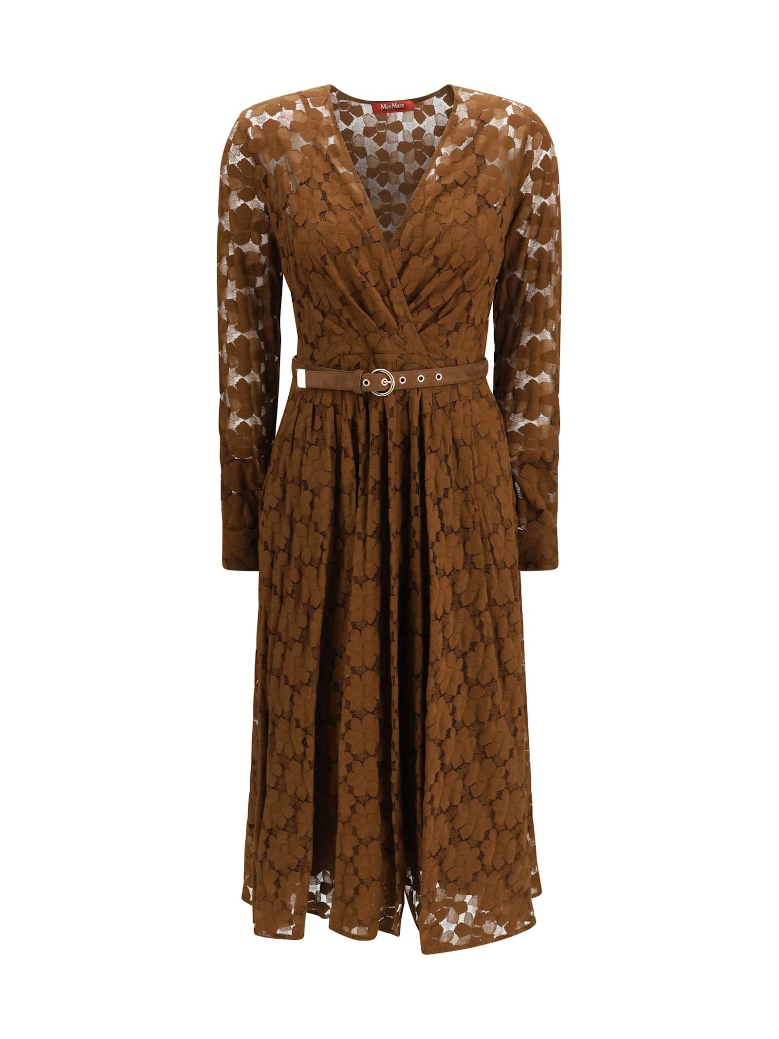 max mara studio agrume midi dress in lace