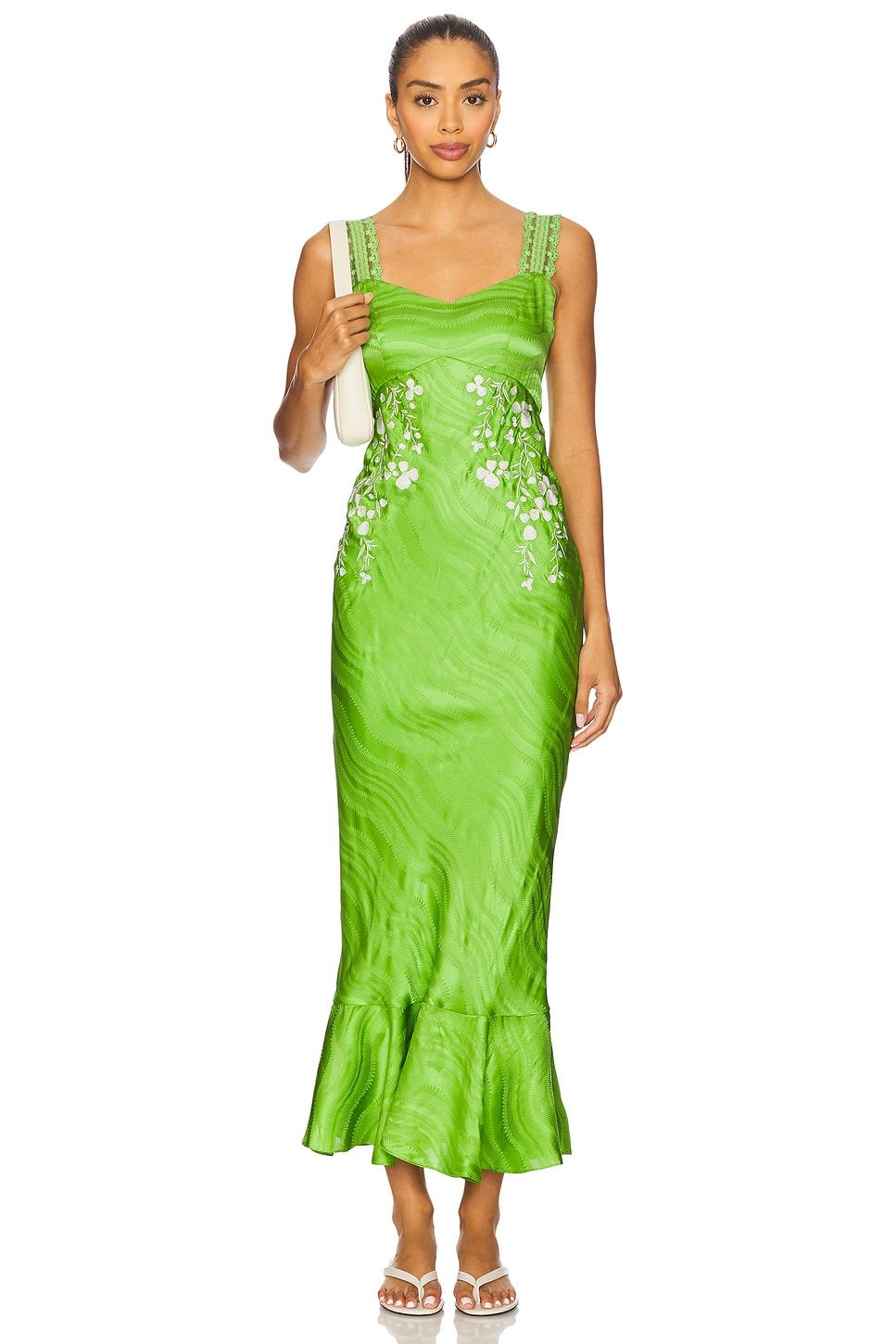 mimi c dress in parakeet & ivory