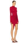 mini long sleeve johnson dress