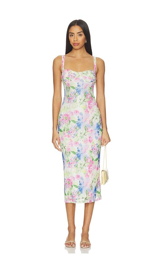 minkpink celina mesh midi dress in white,pink.