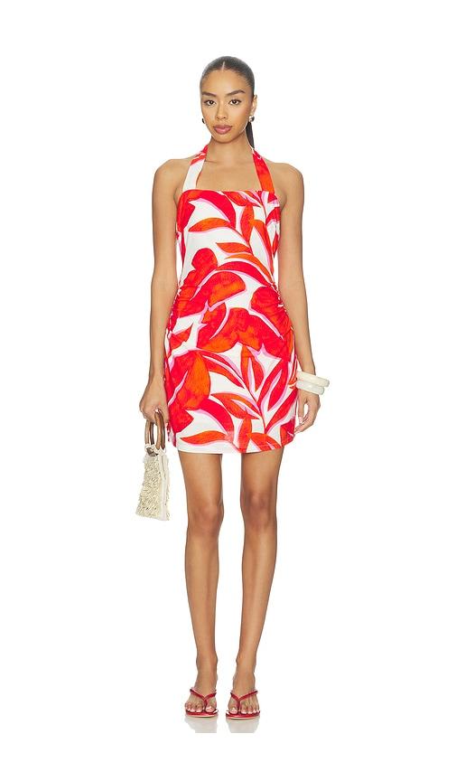 minkpink ravelo halter mini dress in red.