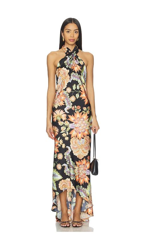 misa los angeles harley dress in black.