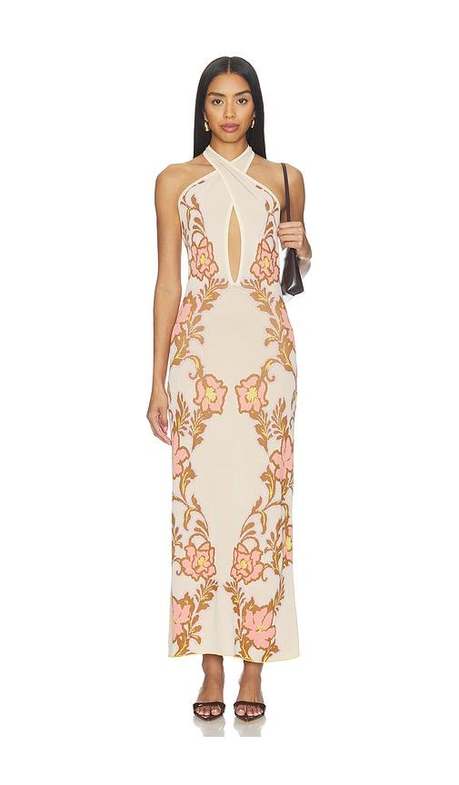 misa los angeles lizbeth dress in brown,pink.