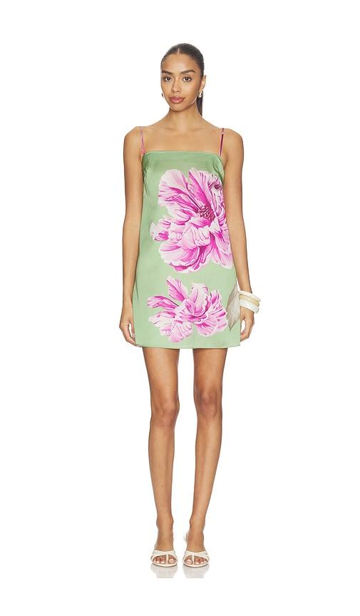 misa los angeles maxine dress in sage.