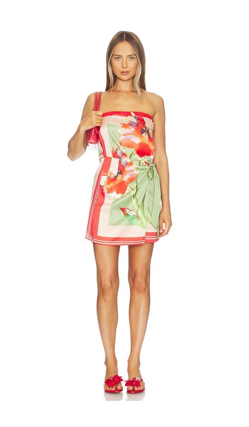 misa los angeles priya dress in red,green.