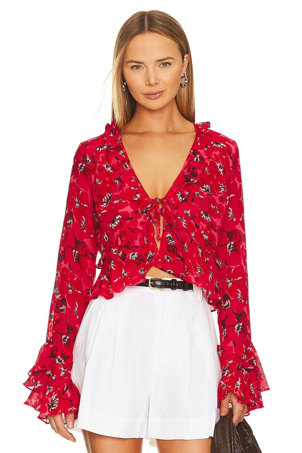 montenegro top