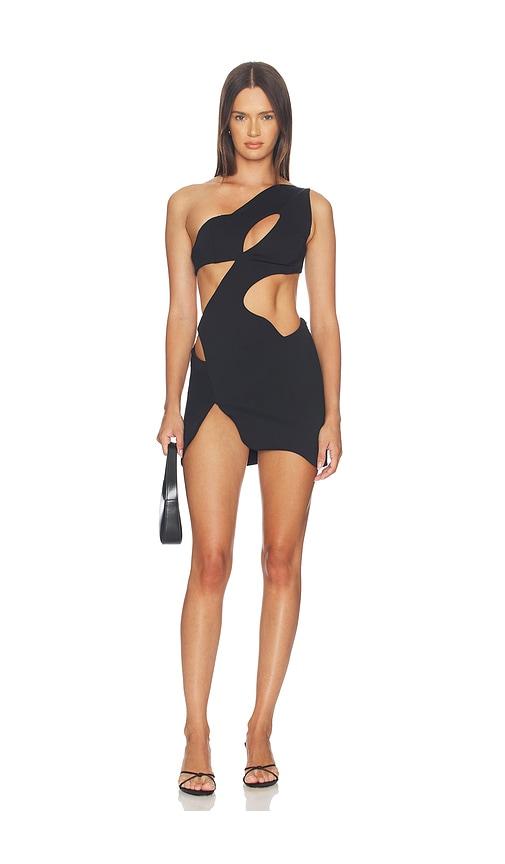 mother of all swan dress in black.