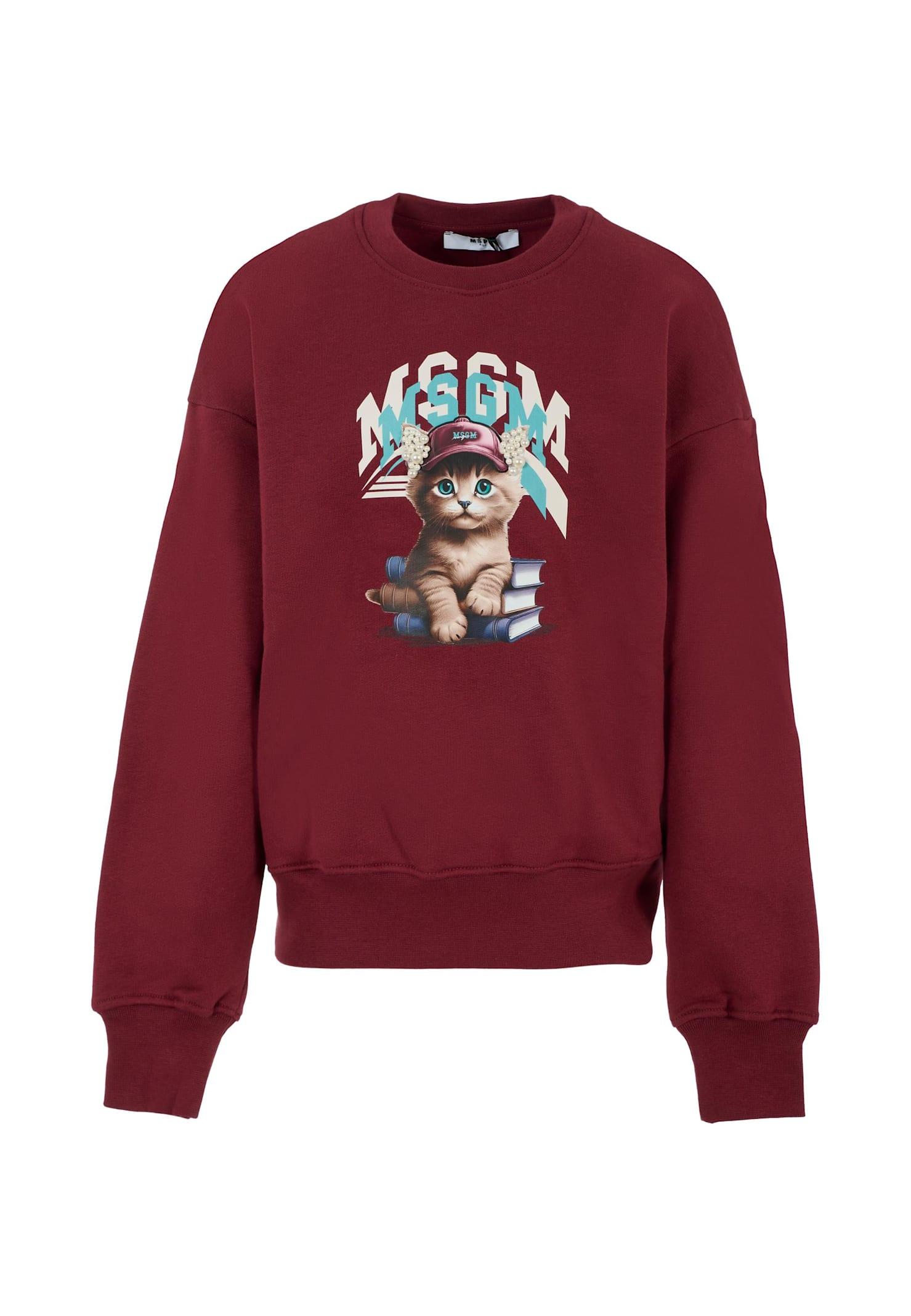 msgm burgundy sweatshirt for girl with cat