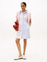 multistripe oxford shirtdress