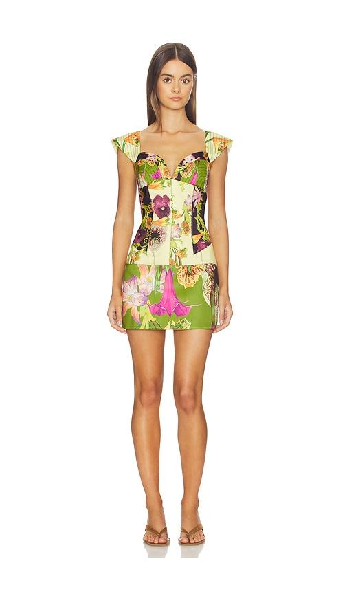 muma world mixed canopy celine mini dress in green,lemon.