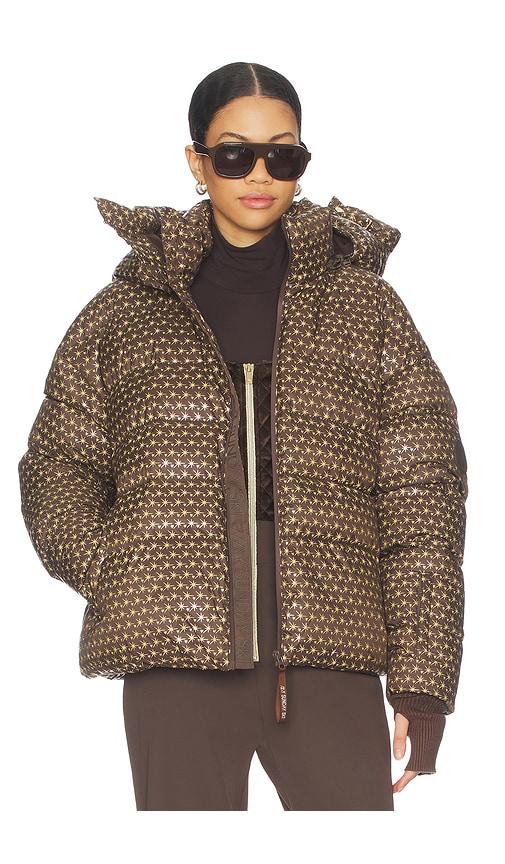 my sunday ski apricity ski jacket in chocolate,tan.