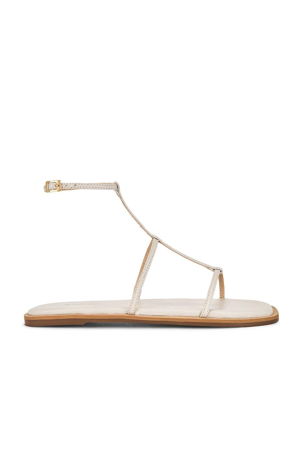 nerea strappy gladiator sandal