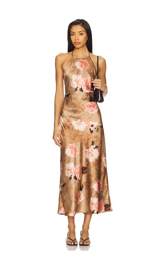 nia leah dress in brown.