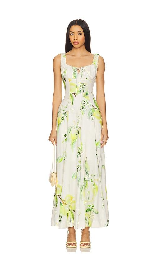 nicholas dina maxi dress in neutral,green.