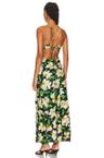 norelle dress
