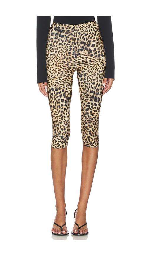 norma kamali capri legging in tan,brown.