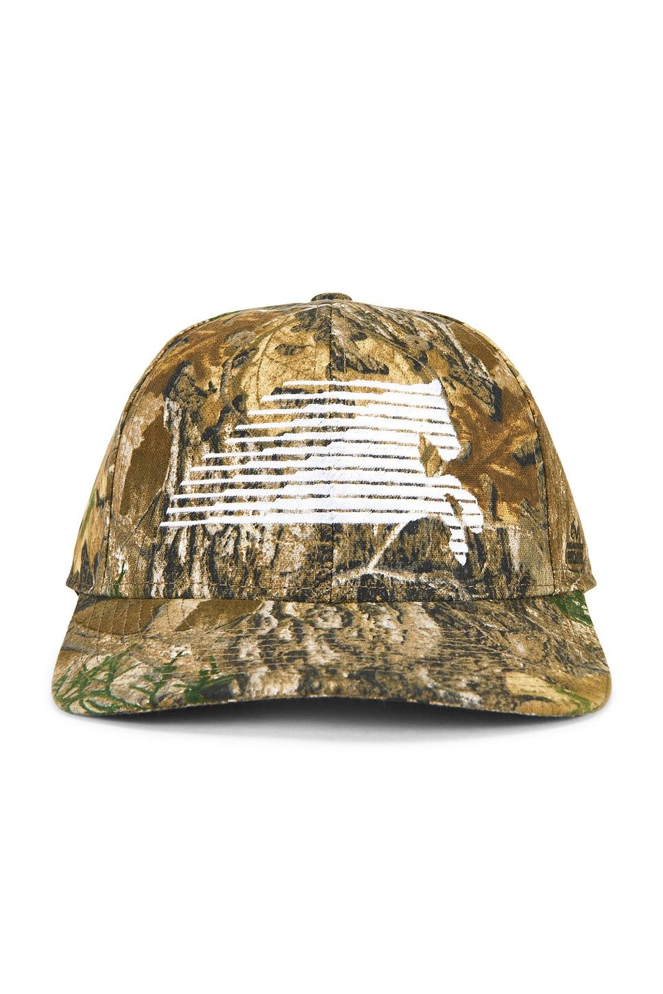 northern sky trucking 6 panel cap