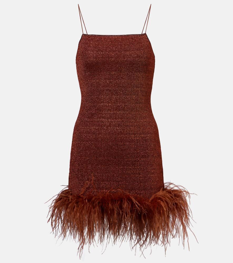 oséree lumière plumage feather