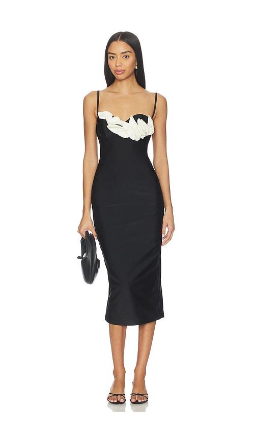 patbo selene mesh flower applique midi dress in black.