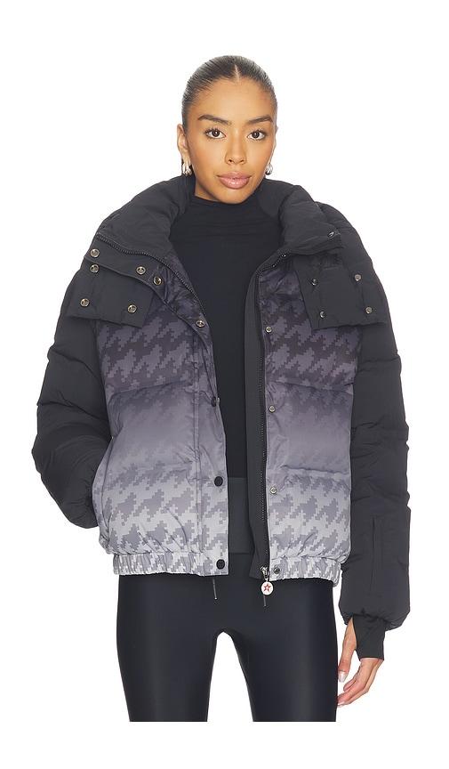 perfect moment moments ski jacket in black,grey.