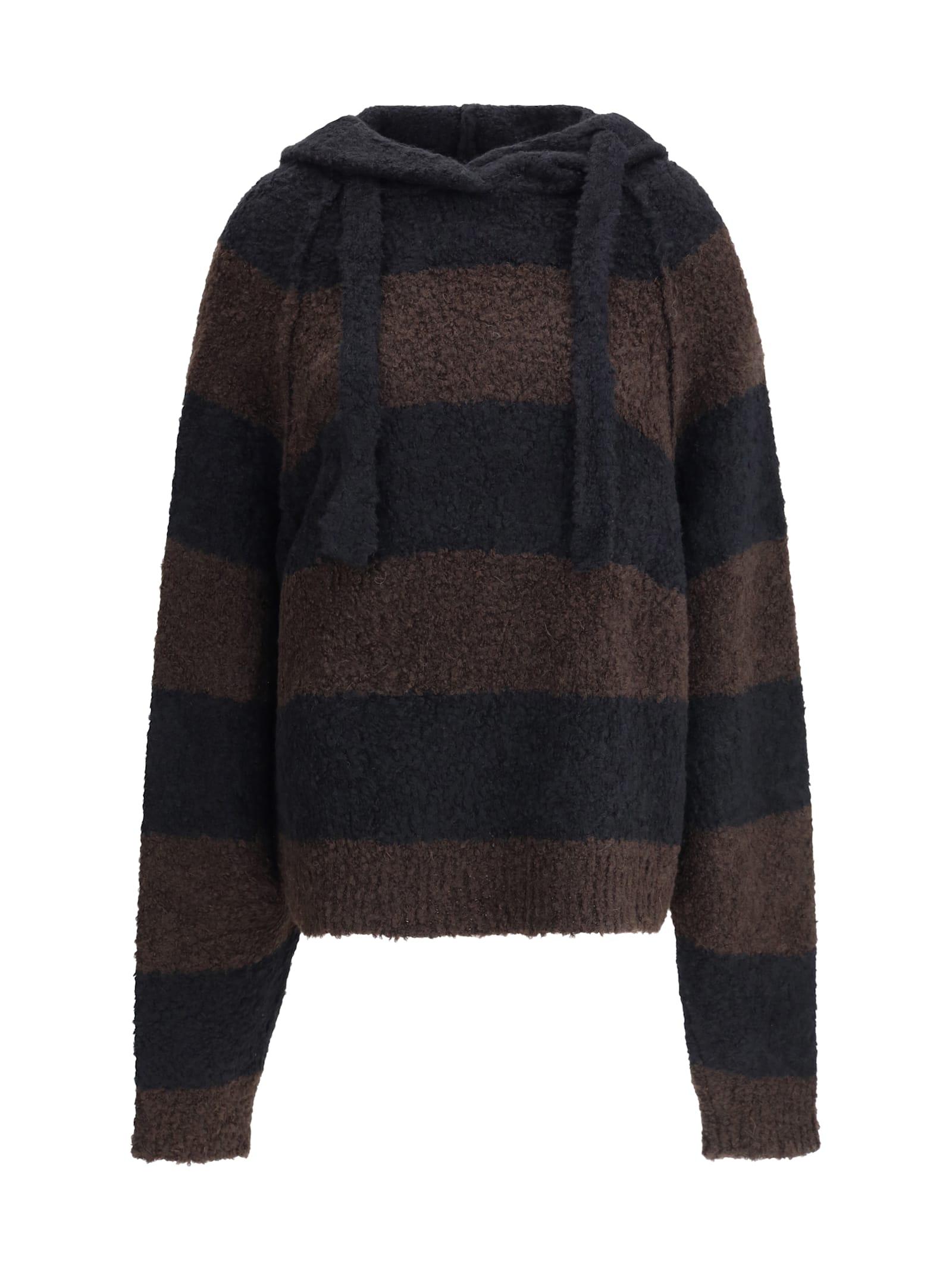 petar petrov striped hooded sweater