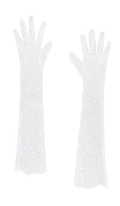 petit moments lace opera gloves in white.