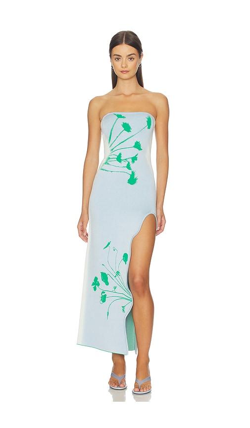 ph5 iris flower print maxi tank dress in baby blue.