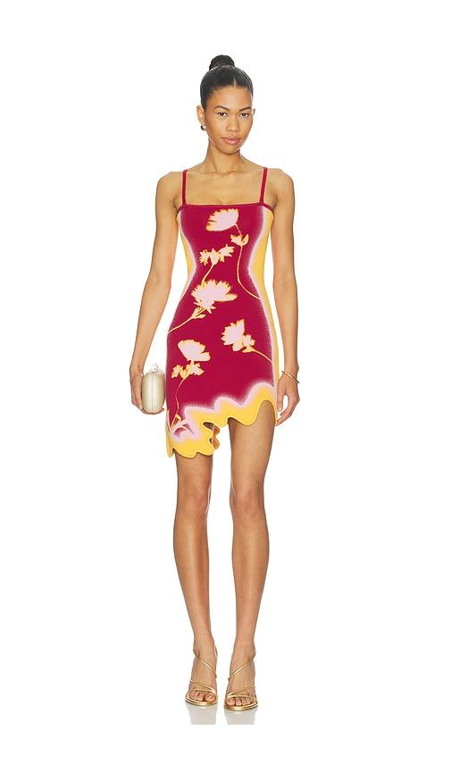 ph5 lyndon wavy mini dress in burgundy,orange.
