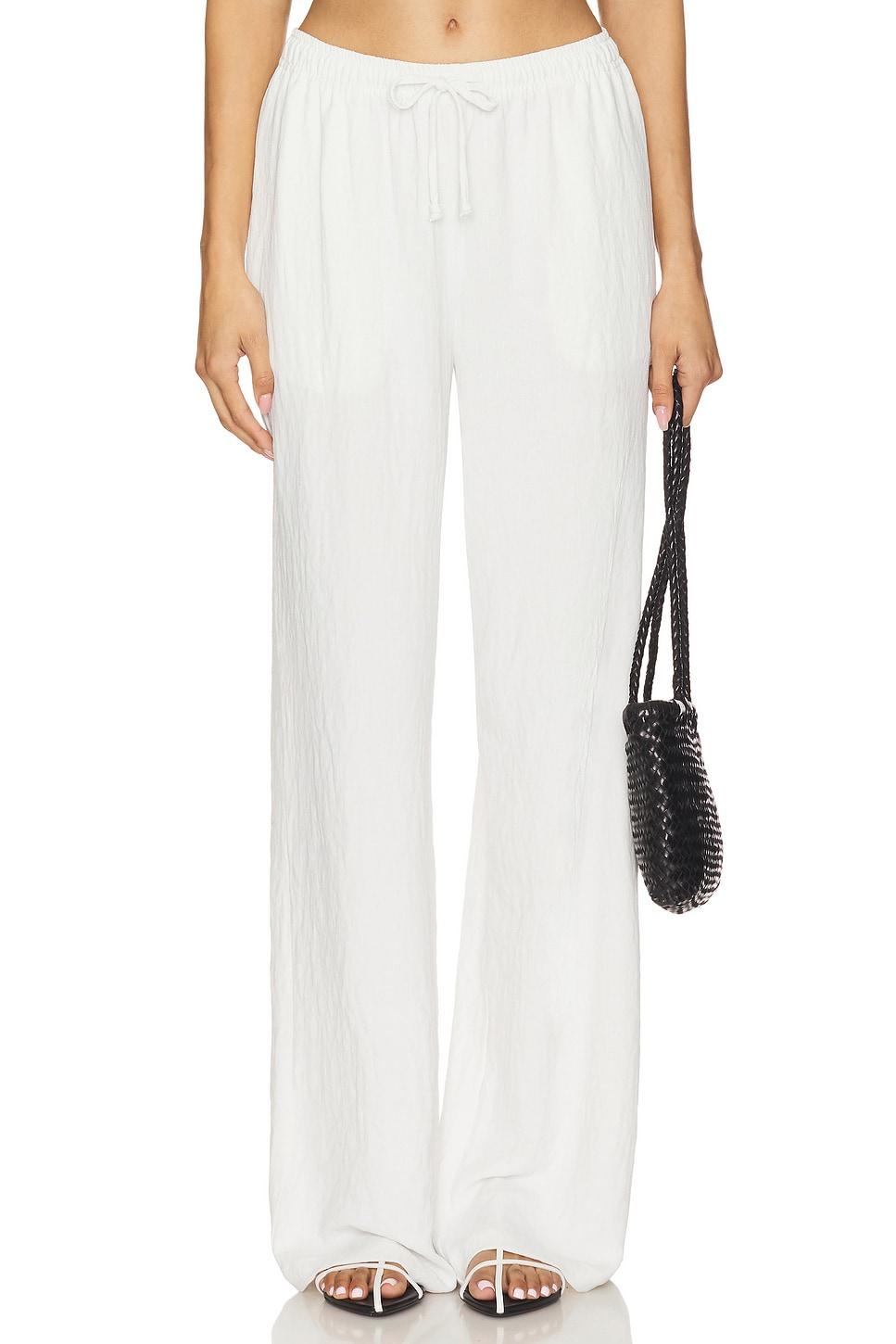 pheby pant