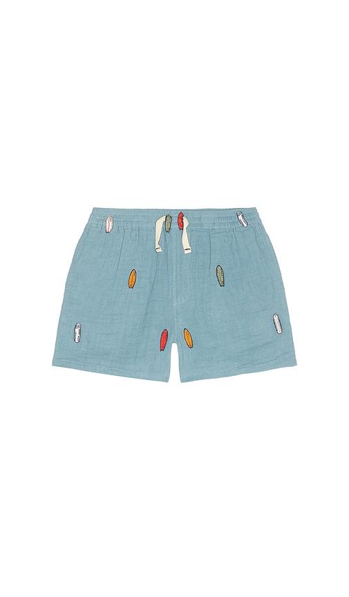 pink chicken boys calvin short in blue.