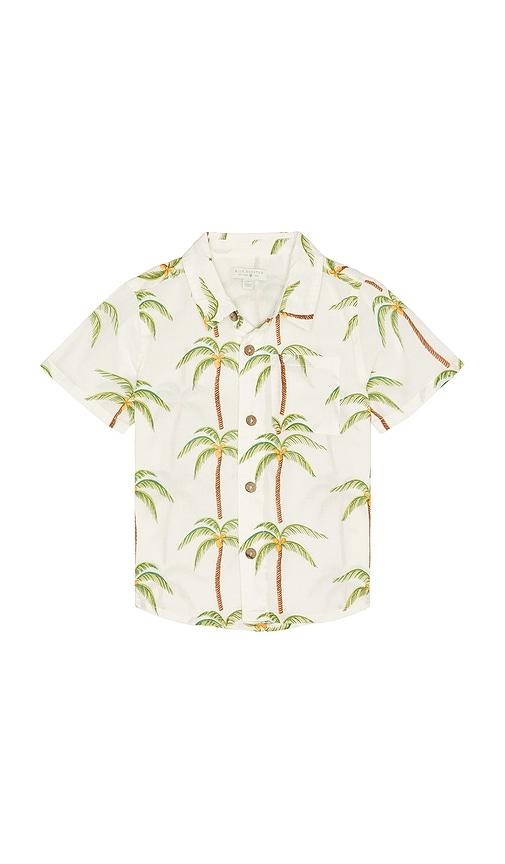 pink chicken boys jack shirt in cream.