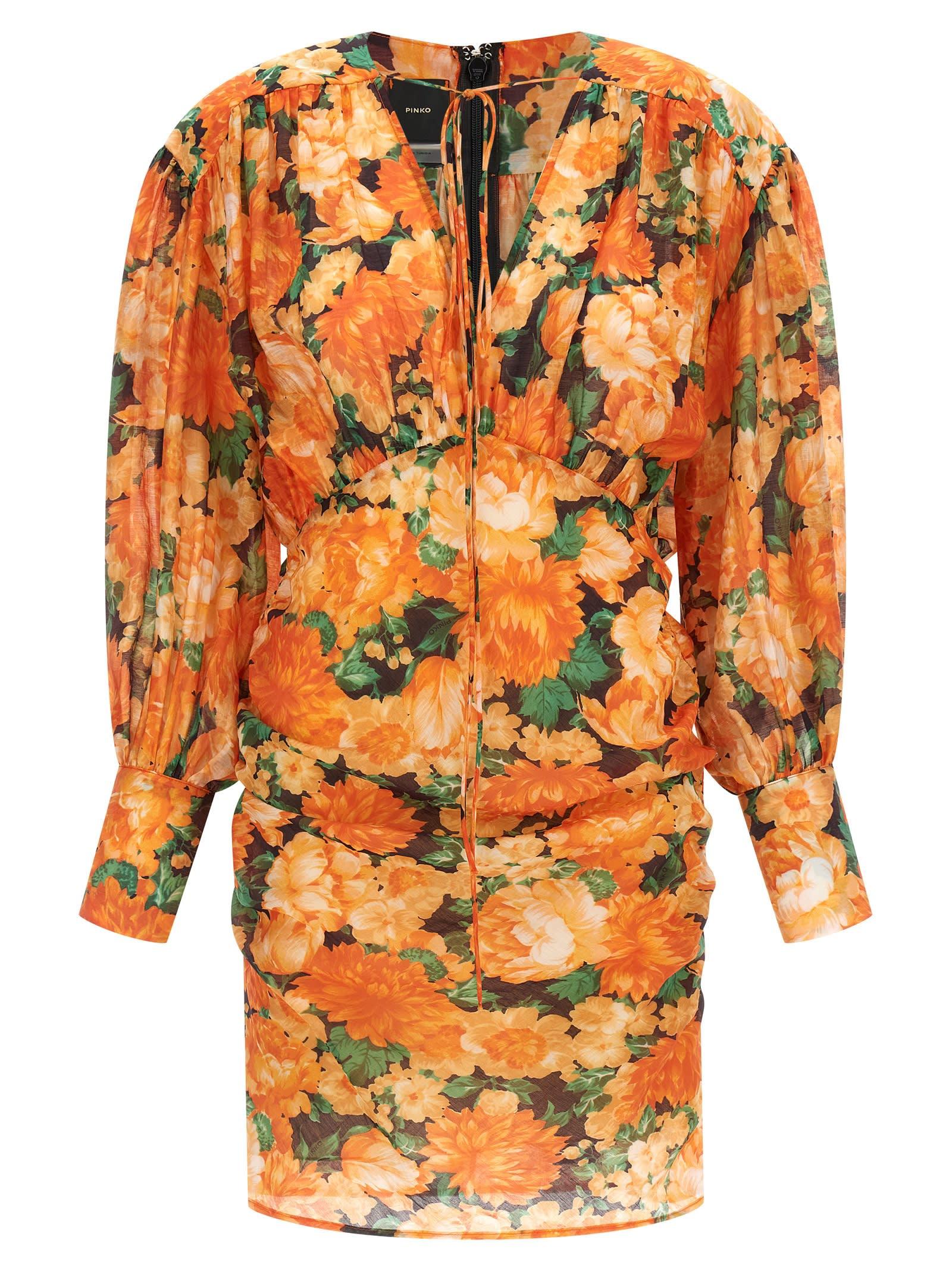 pinko apericena dress