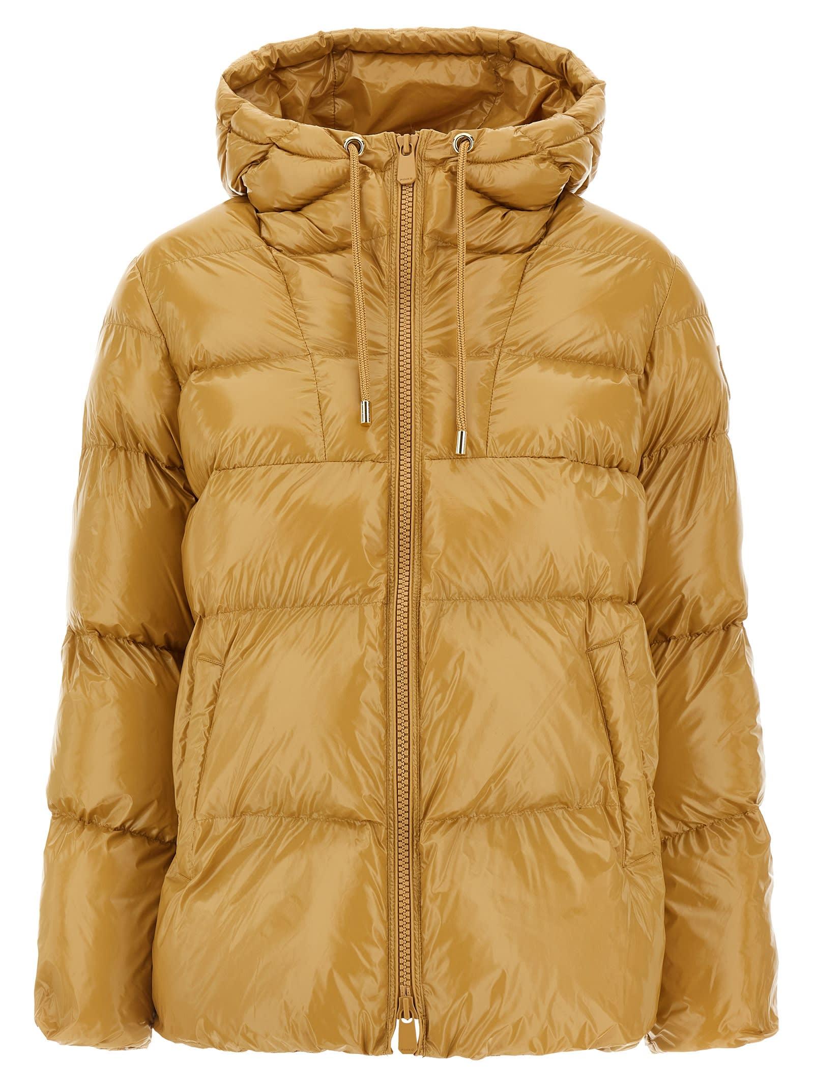 pinko eleodoro down jacket