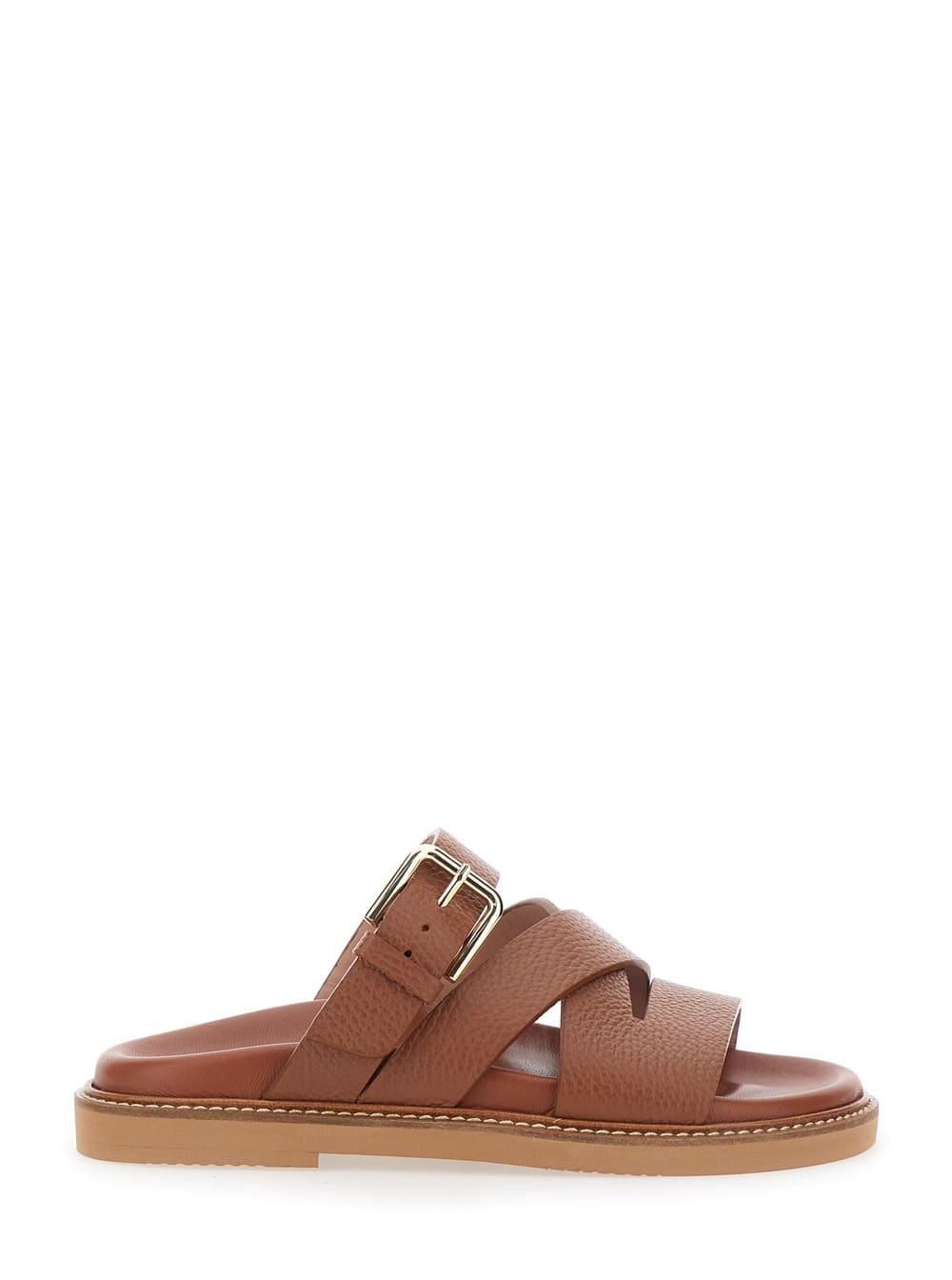 pollini brown sandals with round open toe and buckle closure in leather woman