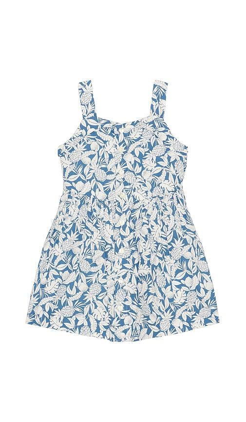 polo ralph lauren sleeveless cotton pineapple printed day dress in blue.
