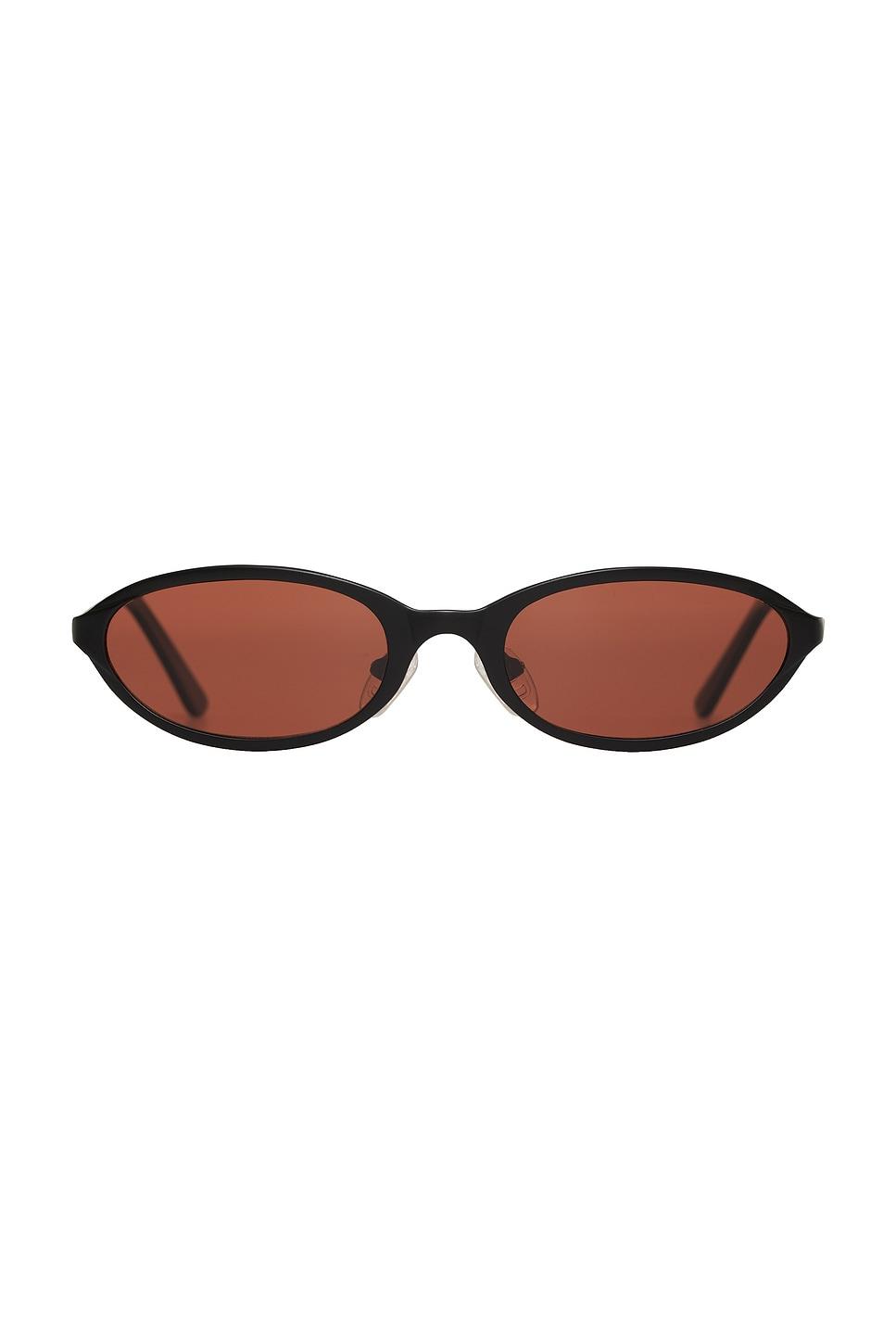 poly sunglasses