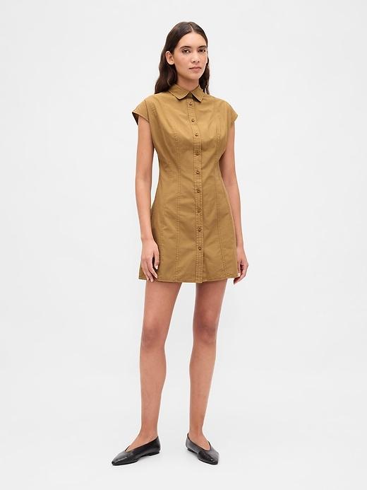 poplin seamed shirtdress