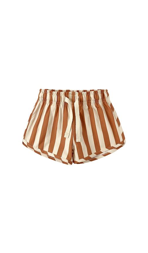 quincy mae boys swim short in brown.