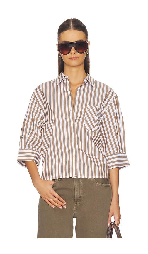 rag & bone lucia stripe poplin shirt in brown.