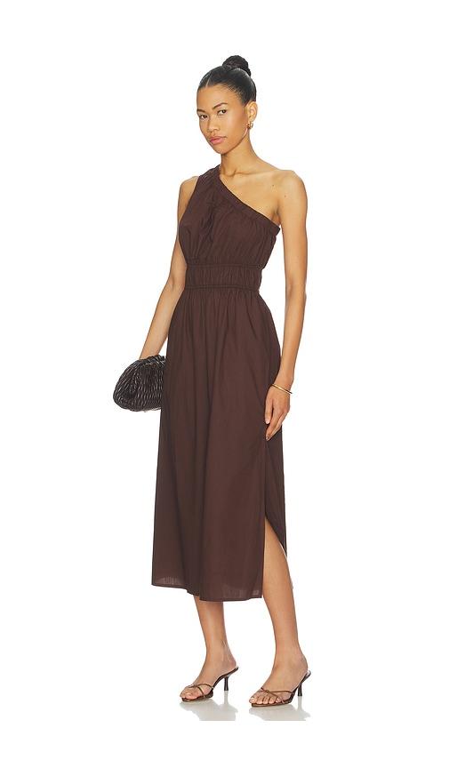 rails selani dress in brown.