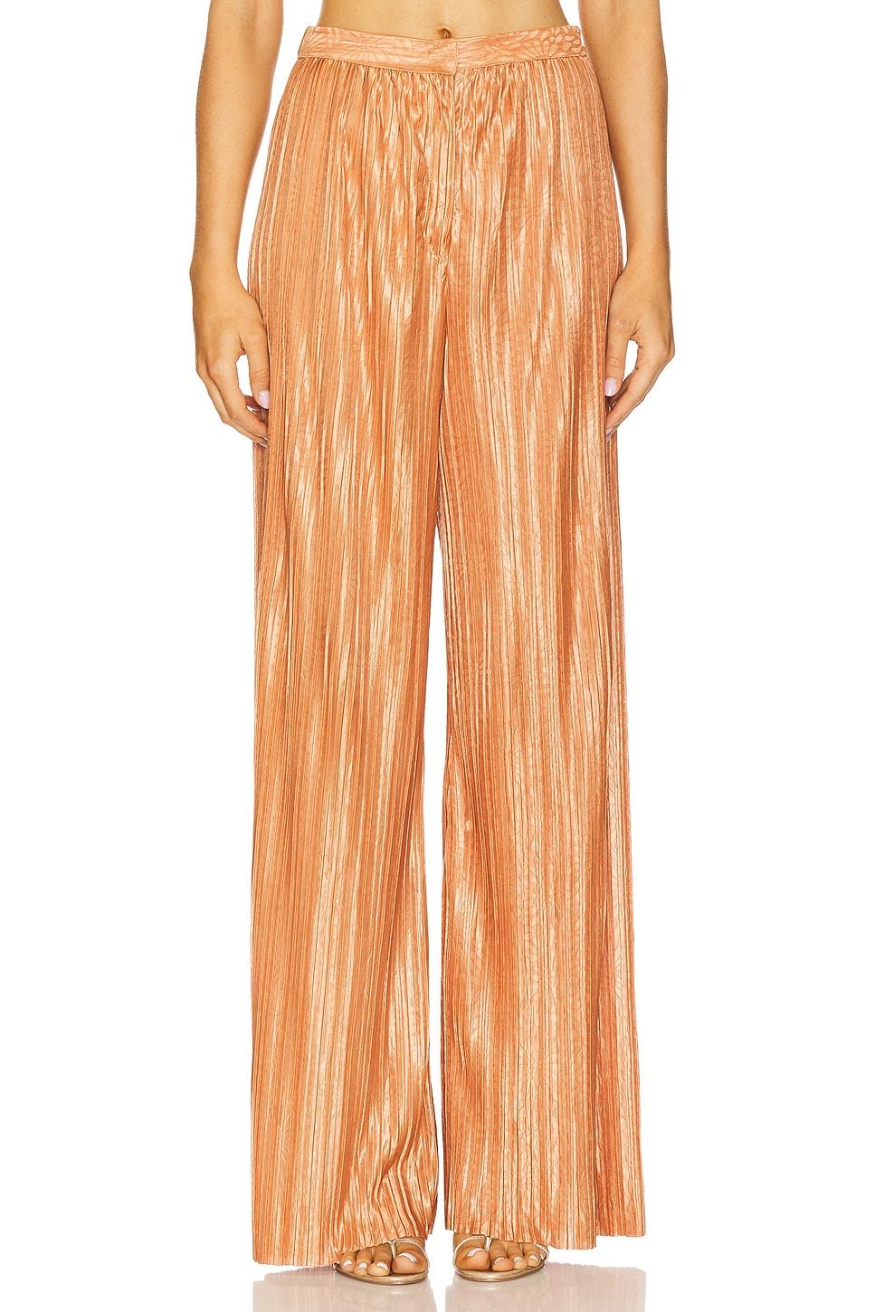 rainy pants