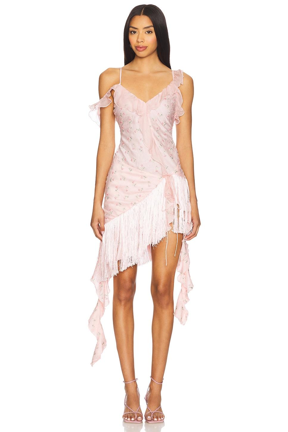 raspberry rose mini dress