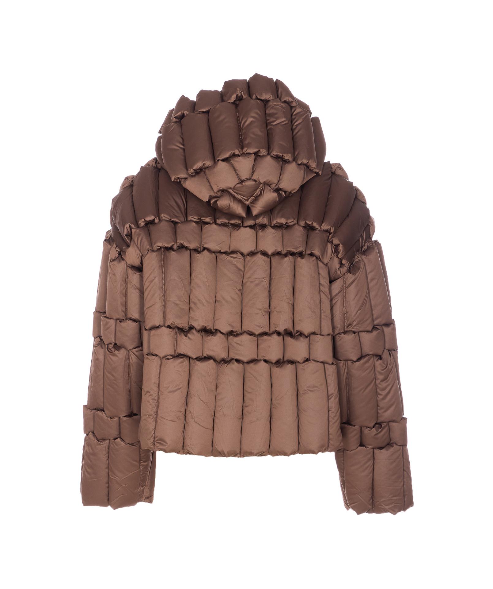 raxxy jackets brown polyester - women