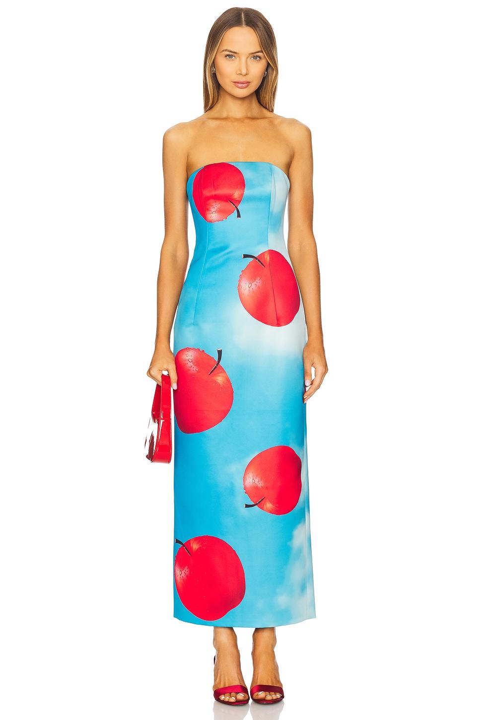 rayna bustier maxi dress
